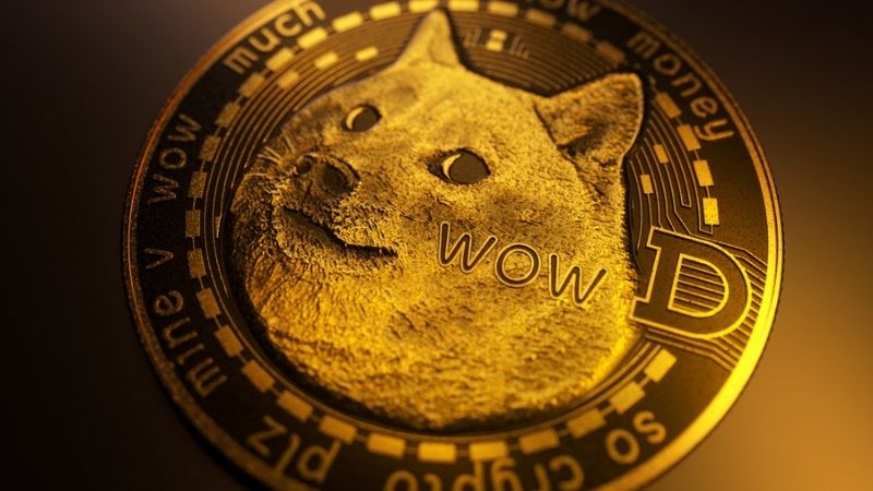 Более половины владельцев Dogecoin столкнулись с потерями
