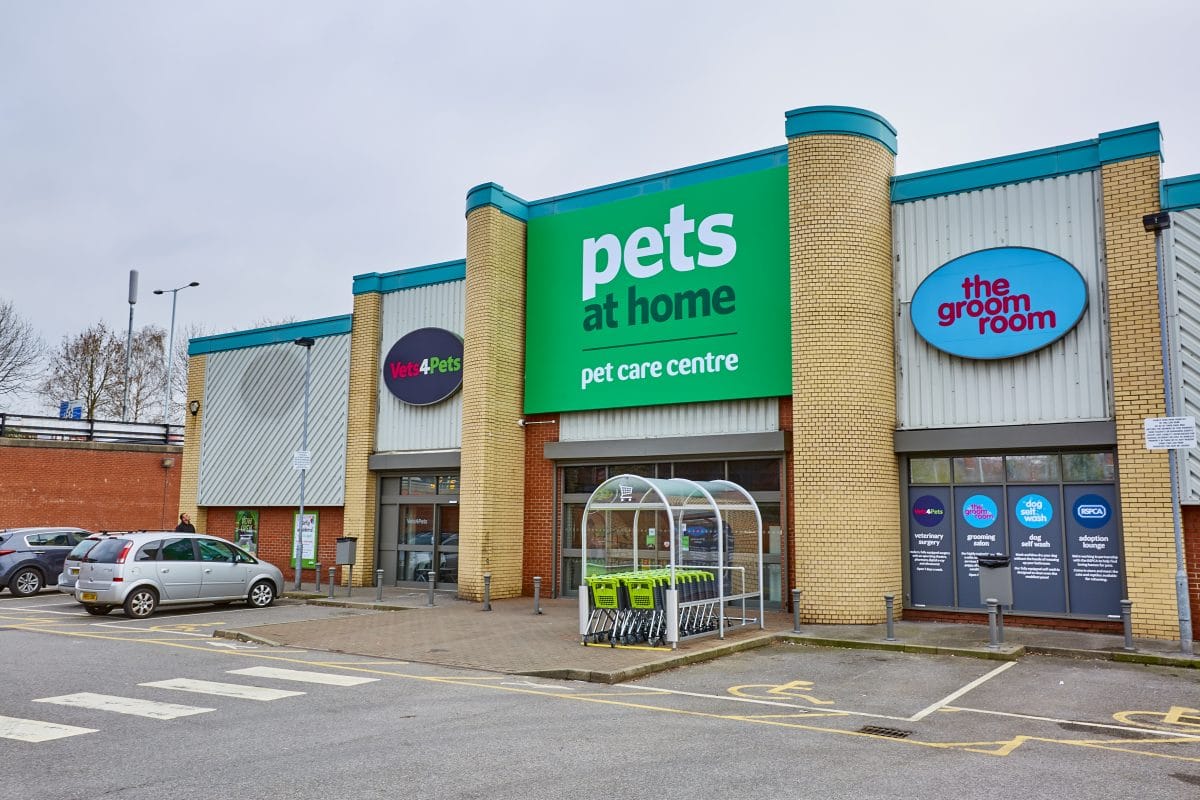 Бумаги Pets of Home выросли благодаря отчету за III квартал